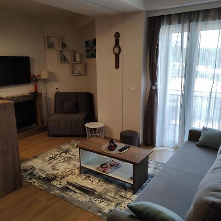 Avantura Studio 1 Zlatibor Ngoại thất bức ảnh
