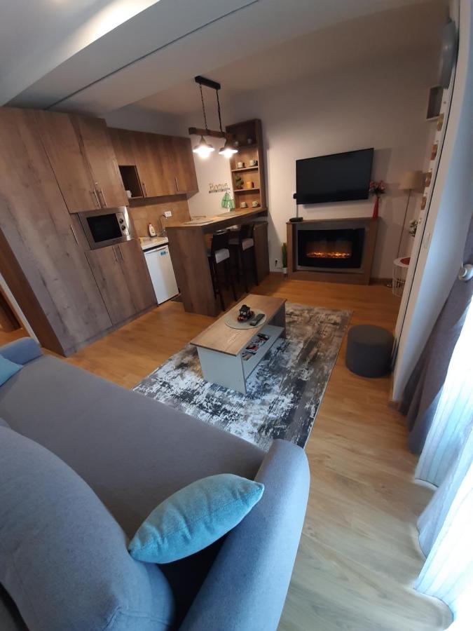 Avantura Studio 1 Zlatibor Ngoại thất bức ảnh
