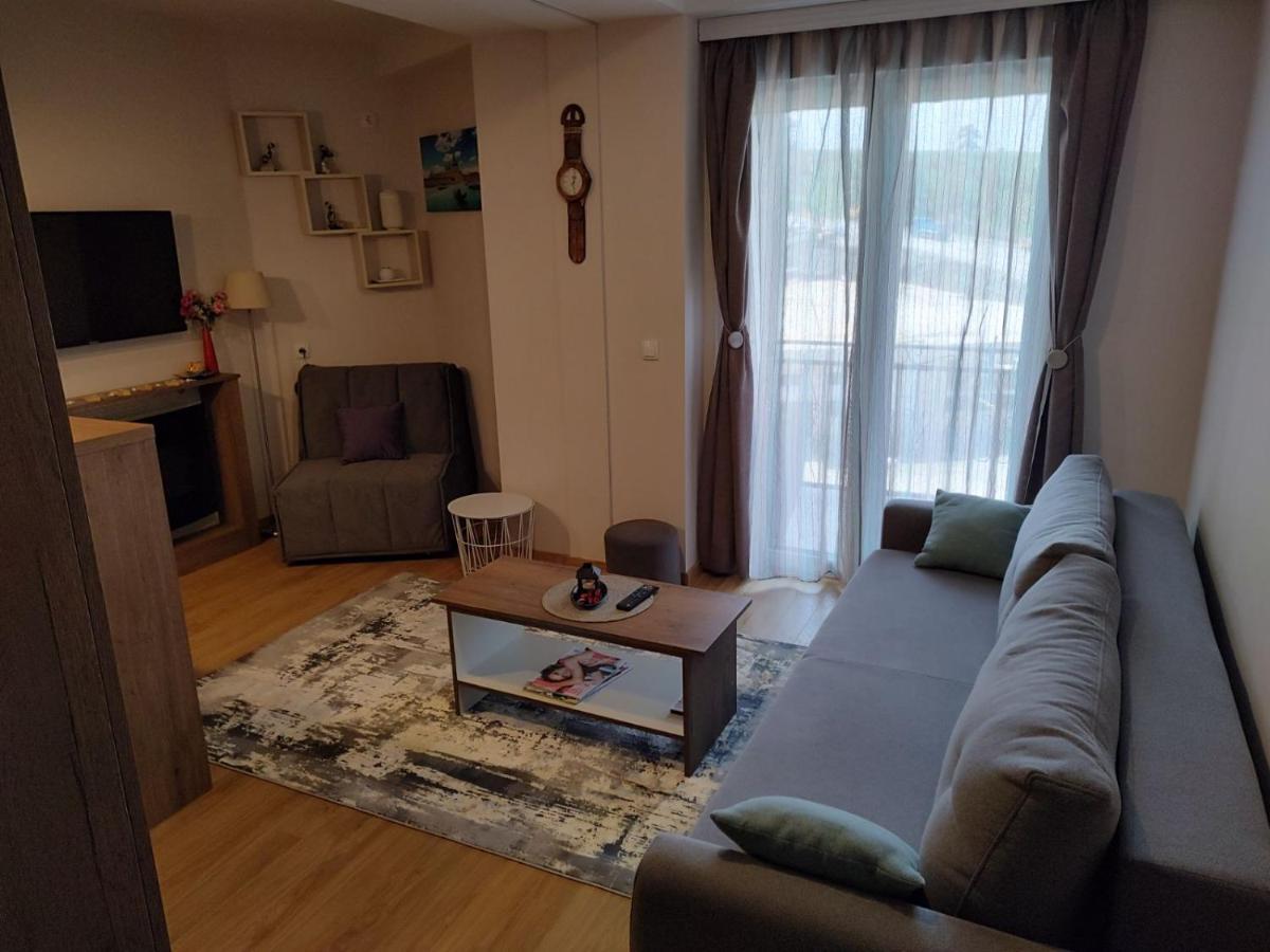 Avantura Studio 1 Zlatibor Ngoại thất bức ảnh