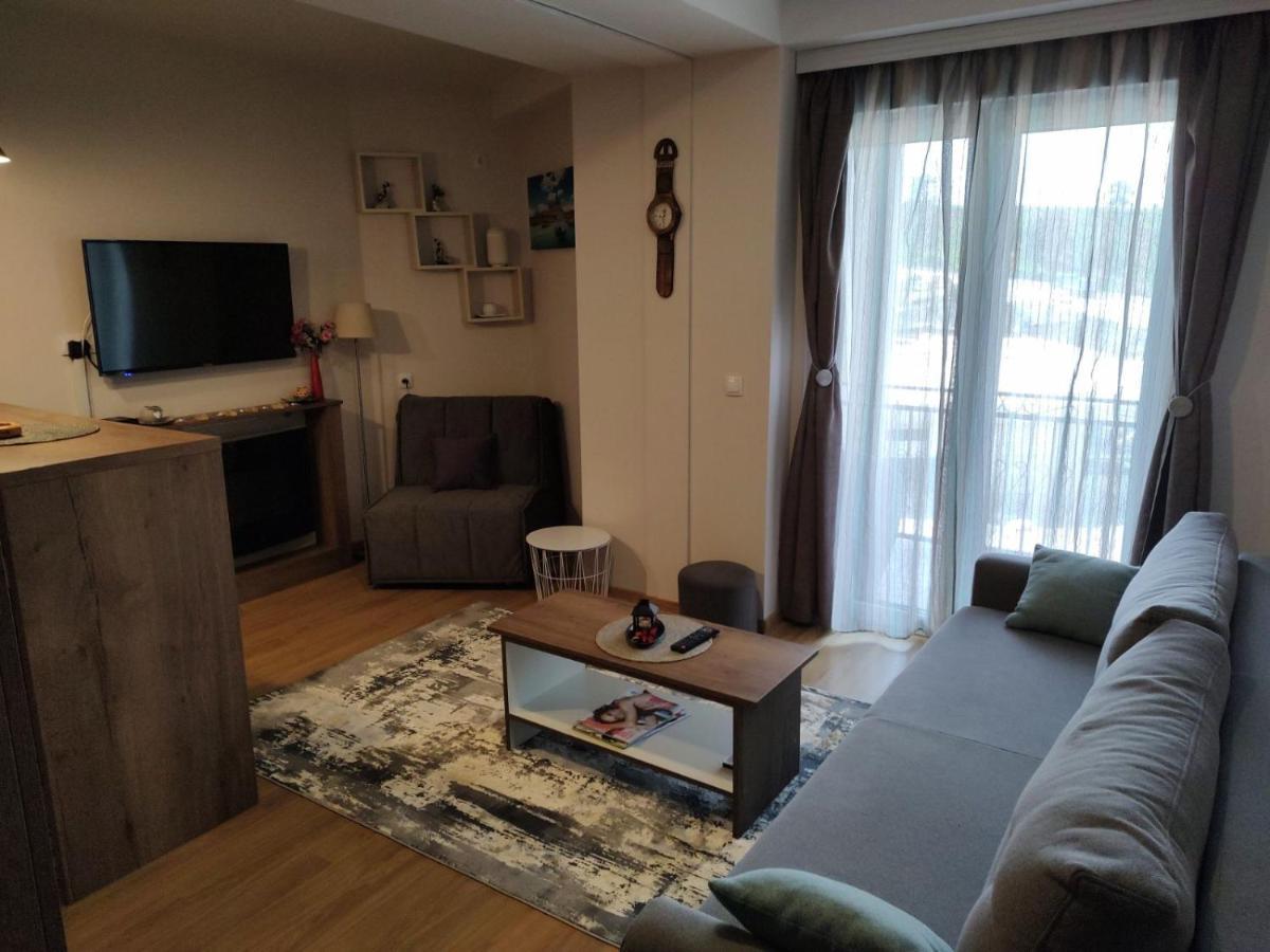Avantura Studio 1 Zlatibor Ngoại thất bức ảnh